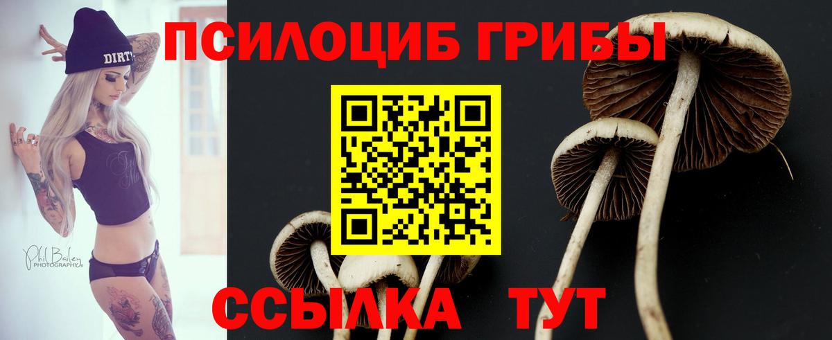 Галлюциногенные грибы мухоморы  Вход с VPN  Псилоцибиновые грибы Magic Shrooms  Муром 
